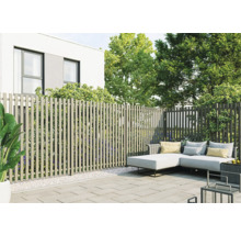 Scène de jardin avec écran d'intimité, mobilier de salon et plantes