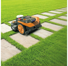 Rasenmähroboter auf einem Rasen mit Steinplattenweg