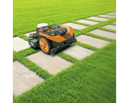 Rasenmähroboter auf einem Rasen mit Steinplattenweg