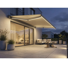 Beleuchtete Markise über einer Terrasse mit Gartenmöbeln und einem Hund