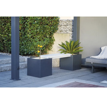 Gartenszene mit Pflanzenkübeln und Sitzbank im Aussenbereich