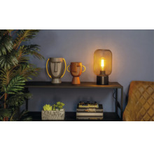 Dekorative Szene mit Tischlampe, Vasen in Kopfdesign und Pflanze auf einem Regal.