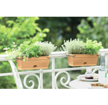 Deux jardinières avec des herbes aromatiques sur une balustrade de balcon