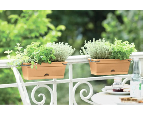 Deux jardinières avec des herbes aromatiques sur une balustrade de balcon
