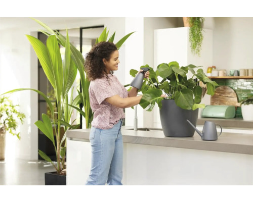 Une femme arrose une plante d'intérieur avec un vaporisateur dans une cuisine lumineuse.