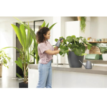 Une femme arrose une plante d'intérieur avec un vaporisateur dans une cuisine lumineuse.