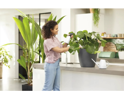 Femme vaporisant une plante d'intérieur avec un vaporisateur dans une cuisine lumineuse