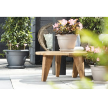 Szene mit bepflanzten Blumentöpfen und einem Holztisch auf einer Terrasse