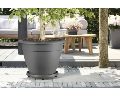 Grauer Blumentopf mit Pflanze im Aussenbereich