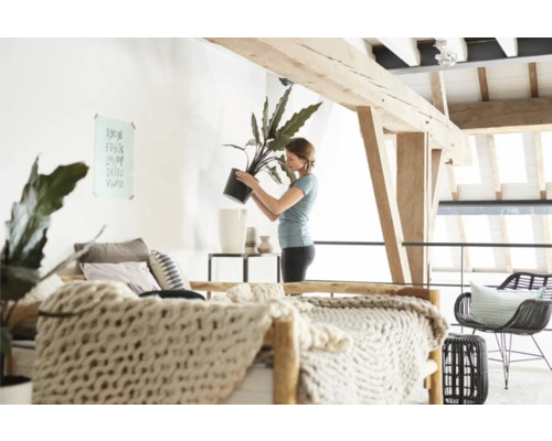 Helle, offene Wohnung mit Holzbalkendecke und einer Frau, die eine Zimmerpflanze in einen Übertopf umtopft.