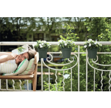 Frau entspannt auf dem Balkon mit Blumenkästen am Geländer