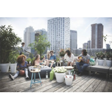 Scène de fête sur un toit-terrasse avec mobilier de salon, bacs à plantes et boissons devant un paysage urbain