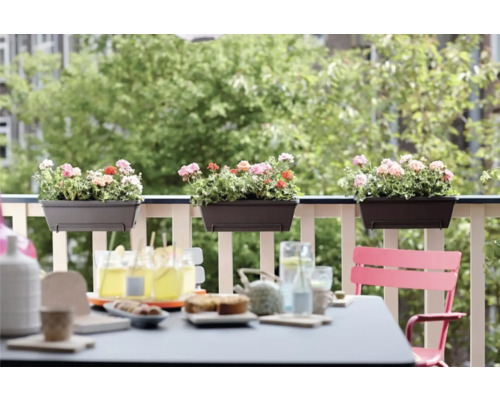 Scène de balcon avec jardinières et table dressée