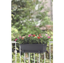 Jardinière avec des géraniums colorés sur une balustrade de balcon