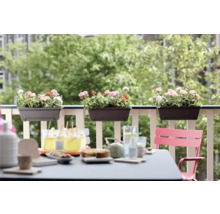 Scène de balcon avec jardinières et table dressée