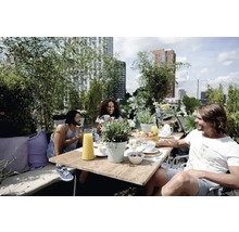Des personnes prennent leur petit-déjeuner sur un toit-terrasse avec des meubles de jardin et des plantes