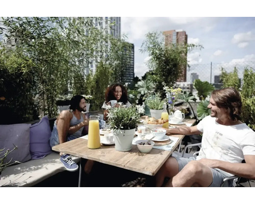 Des personnes prennent leur petit-déjeuner sur un toit-terrasse avec des meubles de jardin et des plantes