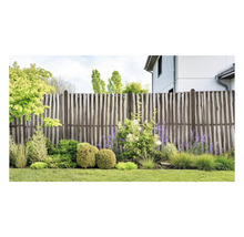 Gartenszene mit Holzzaun und Bepflanzung im Vorgarten