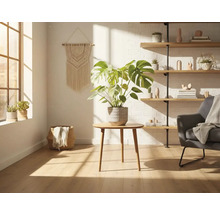 Salon lumineux avec plante d'intérieur, fauteuil et étagère murale