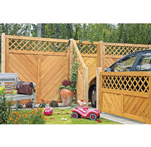 Clôture en bois avec portail et accessoires de jardin à l'extérieur