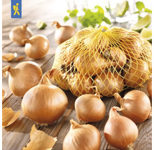 Oignons dans un filet sur une table