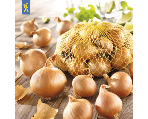 Oignons dans un filet sur une table