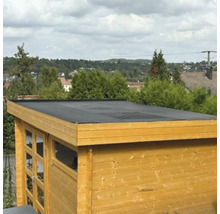 Holzgartenhaus mit Flachdach