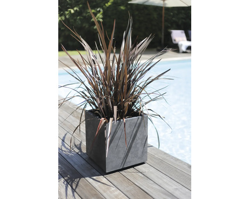 Plante décorative dans un pot carré près d'une piscine