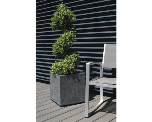 Plante décorative en pot à côté d'une chaise à l'extérieur.