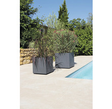 Deux bacs à fleurs gris avec des plantes à côté d'une piscine