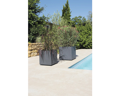 Deux bacs à fleurs gris avec des plantes à côté d'une piscine