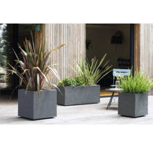 Trois bacs à fleurs gris en béton sur une terrasse avec différentes plantes