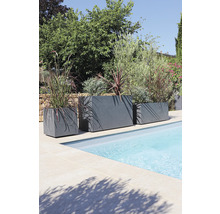 Drei graue Pflanzgefäße unterschiedlicher Größe stehen am Schwimmbeckenrand und sind mit Pflanzen bepflanzt.