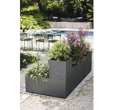 Pflanzkasten mit verschiedenen Pflanzen im Aussenbereich.