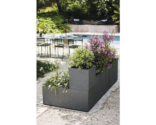 Pflanzkasten mit verschiedenen Pflanzen im Aussenbereich.