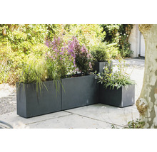 Pflanzgefäße aus Metall mit verschiedenen Pflanzen im Außenbereich