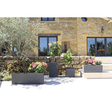 Divers pots de fleurs avec des plantes devant un bâtiment