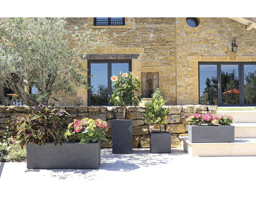 Divers pots de fleurs avec des plantes devant un bâtiment