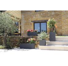 Pots de fleurs décoratifs en grès avec des plantes florales dans un jardin