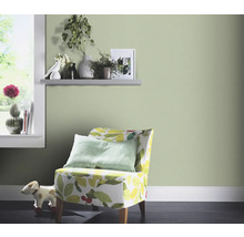 Salon avec fauteuils, étagères et décorations