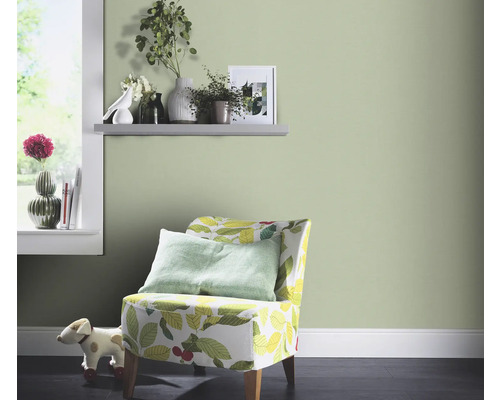 Salon avec fauteuils, étagères et décorations