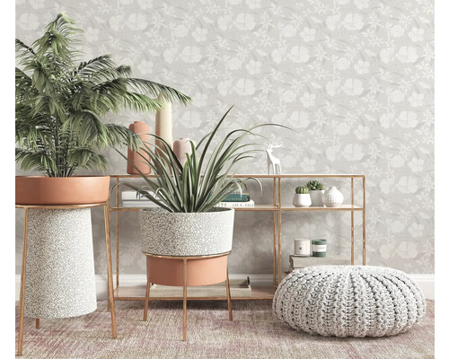 Intérieur avec plantes en pot sur supports pour plantes, étagère et pouf