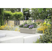 Jardinière rectangulaire avec plantation dans le jardin