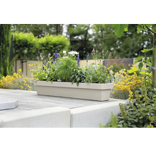 Jardinière beige avec diverses fleurs dans le jardin