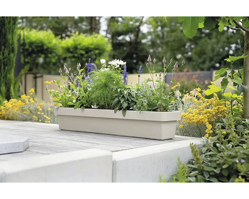 Jardinière beige avec diverses fleurs dans le jardin