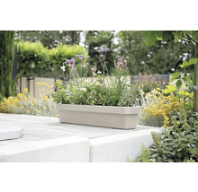 Jardinière avec différentes plantes fleuries dans le jardin