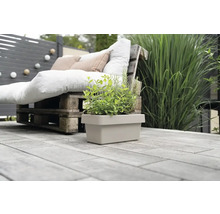 Jardinière avec herbes aromatiques dans l'espace jardin avec mobilier de palettes