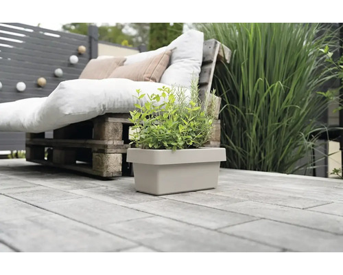 Jardinière avec herbes aromatiques dans l'espace jardin avec mobilier de palettes