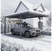 Une voiture est garée sous un abri devant une maison en hiver.