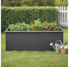 Hochbeet mit Gemüse, Giesskanne und Korb mit Blumen im Garten.